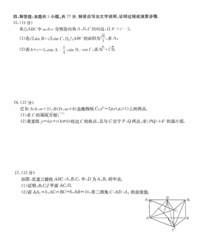 2025届广东金太阳（25-02C）8月大联考数学试题及答案