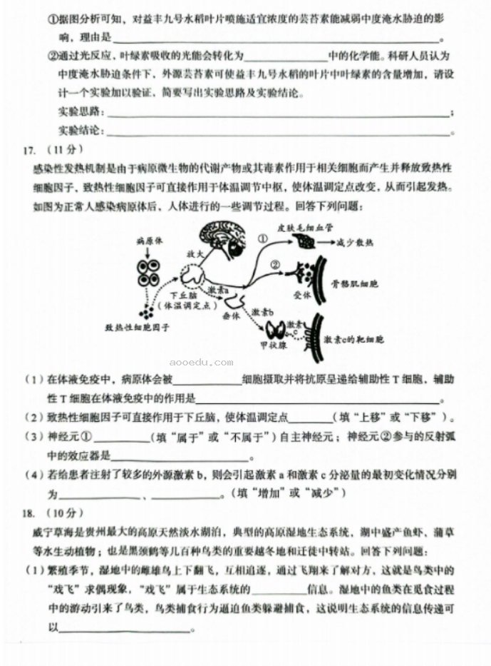 安徽A10联盟2025届高三8月开学摸底考生物试题及答案