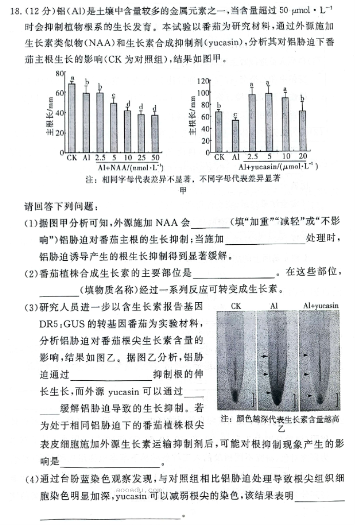 湘豫名校2025高三9月新高考适应性调研考生物试题及答案