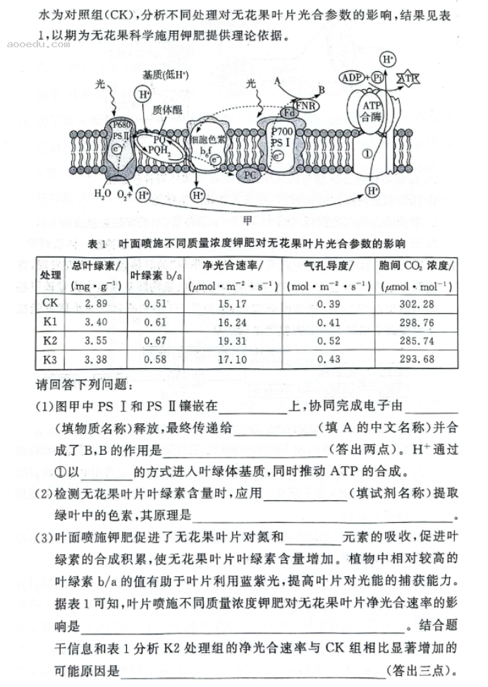 湘豫名校2025高三9月新高考适应性调研考生物试题及答案