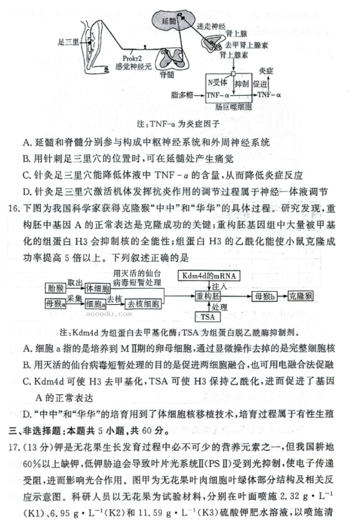 湘豫名校2025高三9月新高考适应性调研考生物试题及答案