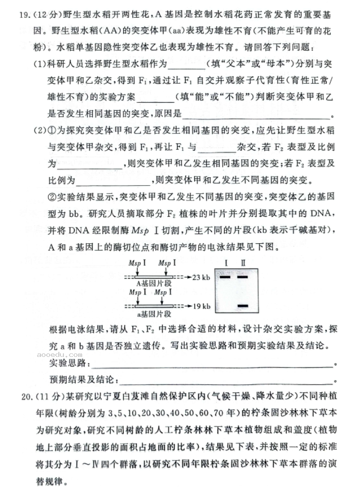 湘豫名校2025高三9月新高考适应性调研考生物试题及答案