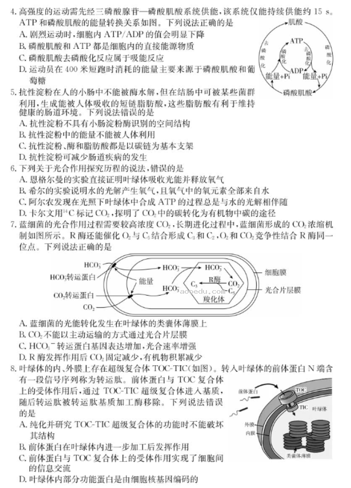 山东新高考联合质量测评2025高三10月联考生物试题及答案