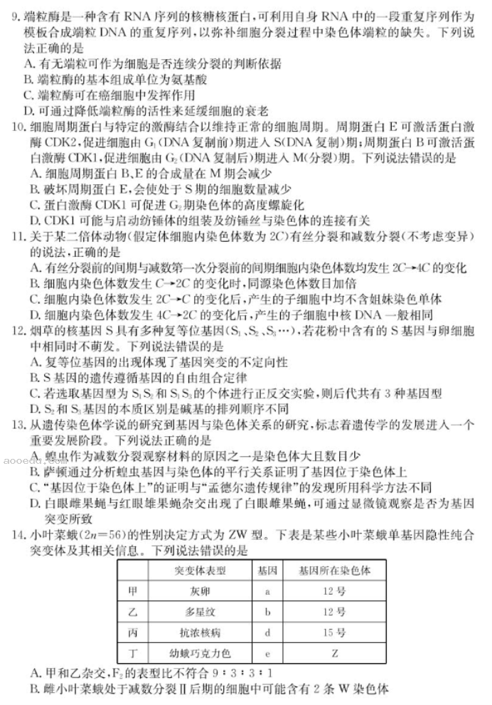 山东新高考联合质量测评2025高三10月联考生物试题及答案