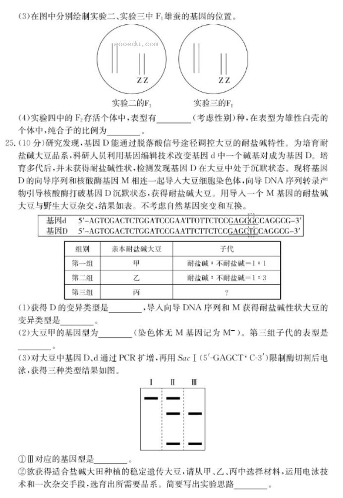 山东新高考联合质量测评2025高三10月联考生物试题及答案