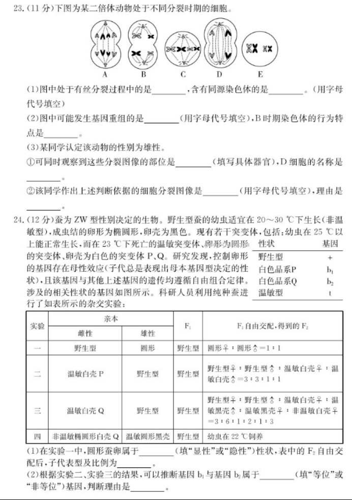 山东新高考联合质量测评2025高三10月联考生物试题及答案